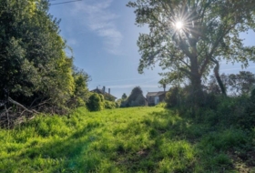 Sada 1571&nbsp;m² 