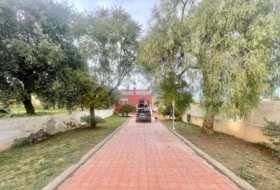 Foto 18