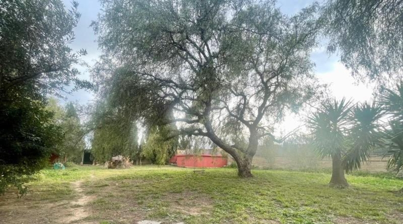 Castellon - Onda - 1680m2