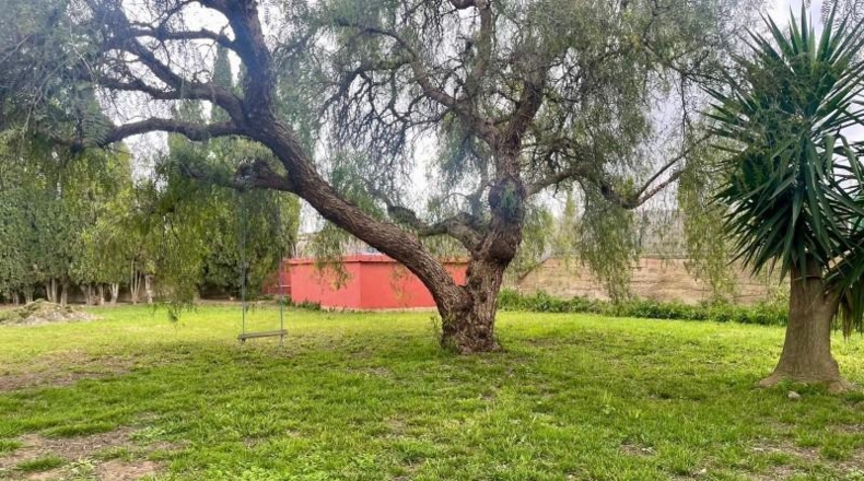 Castellon - Onda - 1680m2