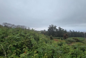 Tacoronte 1462&nbsp;м²