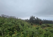 Sòl urbà en venda a la España, Tacoronte, ref.: TR404447 foto