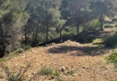 Non-developable land for sale on España, Benissa, ref: TR404458 photo