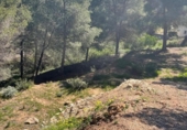 Non-developable land for sale on España, Benissa, ref: TR404458 photo