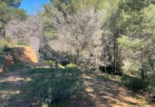 Non-developable land for sale on España, Benissa, ref: TR404458 photo