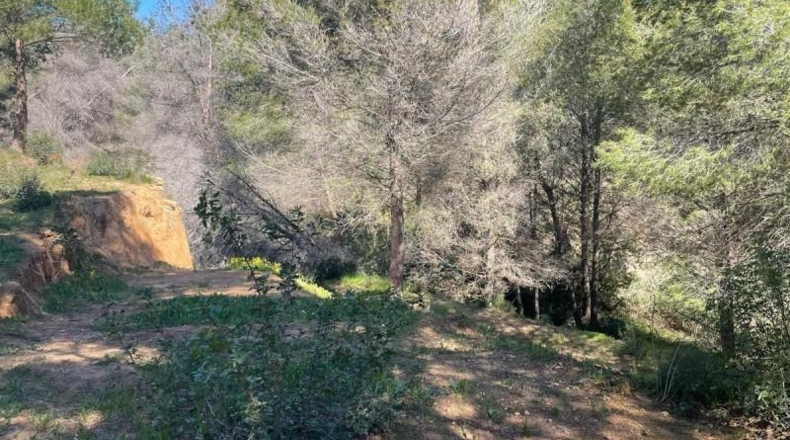 Alicante - Benissa - 806m2