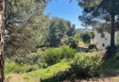 Non-developable land for sale on España, Benissa, ref: TR404458 photo