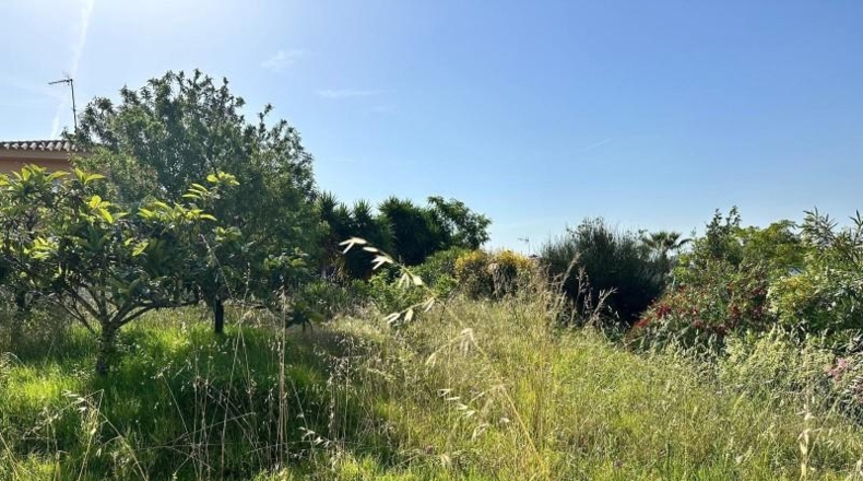 Barcelona - Sant Pol de Mar - 802m2