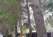 Chalet independiente con terreno en venta en la España, l'Ametlla de Mar, ref: TR232599 foto