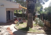 Chalet independiente con terreno en venta en la España, l'Ametlla de Mar, ref: TR232599 foto