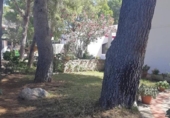 Chalet independiente con terreno en venta en la España, l'Ametlla de Mar, ref: TR232599 foto