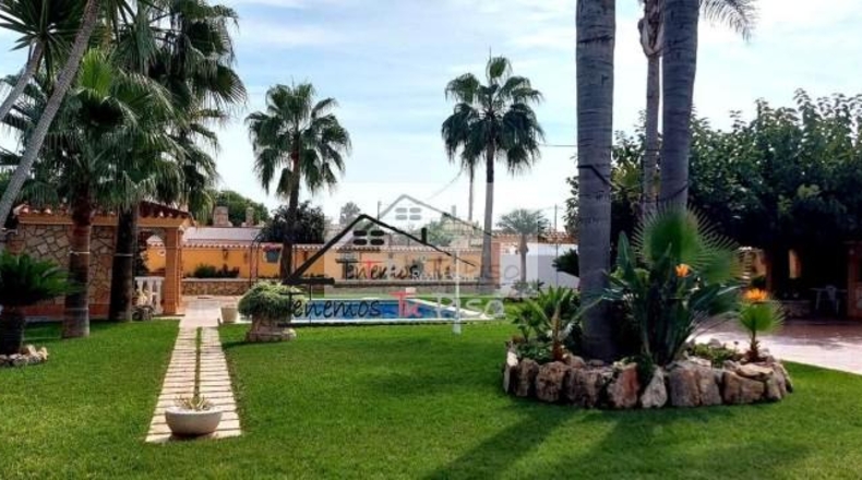 Castellon - Benicarló - 898m2