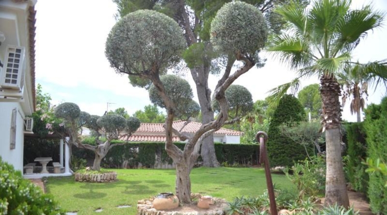 Tarragona - l'Ametlla de Mar - 808m2