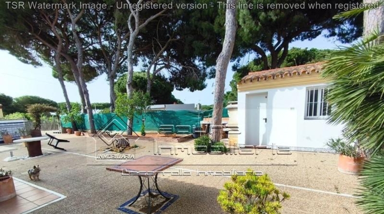 Cádiz - Chiclana de la Frontera - 500m2