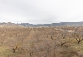 Chalet independiente con terreno en venta en la España, Dílar, ref: TR404516 foto