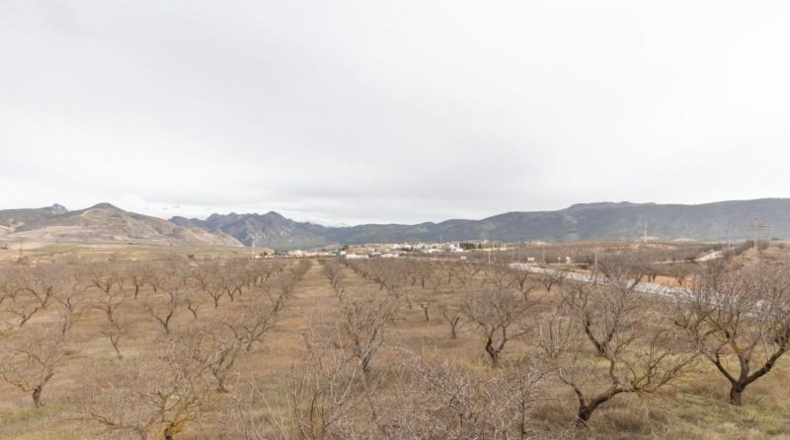 Granada - Dílar - 634m2