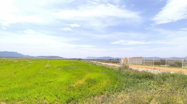 Murcia - Yecla - 113600m2