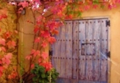 Casa de camp amb terreny en venda a la España, Calera de León, ref.: TR331516 foto