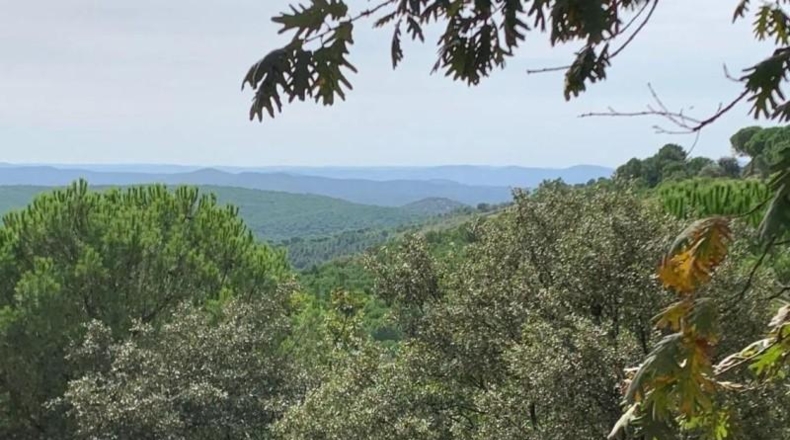 Badajoz - Calera de León - 42851m2