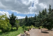 Casa de camp amb terreny en venda a la España, Calera de León, ref.: TR331516 foto