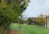 Casa de camp amb terreny en venda a la España, Calera de León, ref.: TR331516 foto
