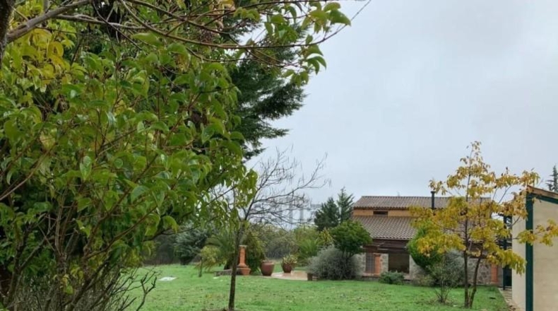 Badajoz - Calera de León - 42851m2