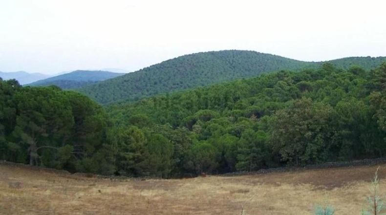 Badajoz - Calera de León - 42851m2