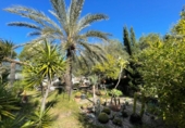 Detached villa with land for sale on España, Orihuela, ref: TR241675 photo