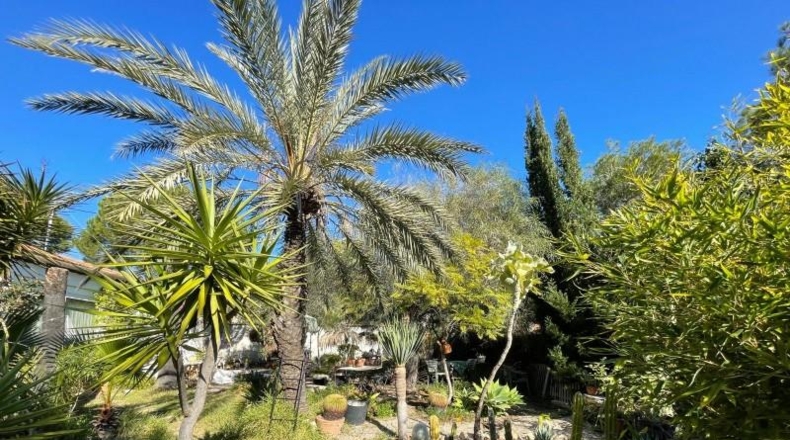 Alicante - Dehesa de Campoamor - 1250m2