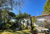 Detached villa with land for sale on España, Orihuela, ref: TR241675 photo
