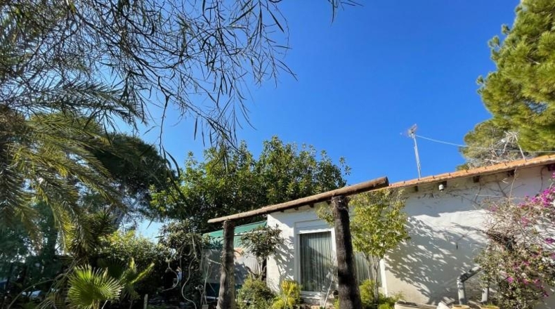 Alicante - Dehesa de Campoamor - 1250m2