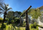 Detached villa with land for sale on España, Orihuela, ref: TR241675 photo