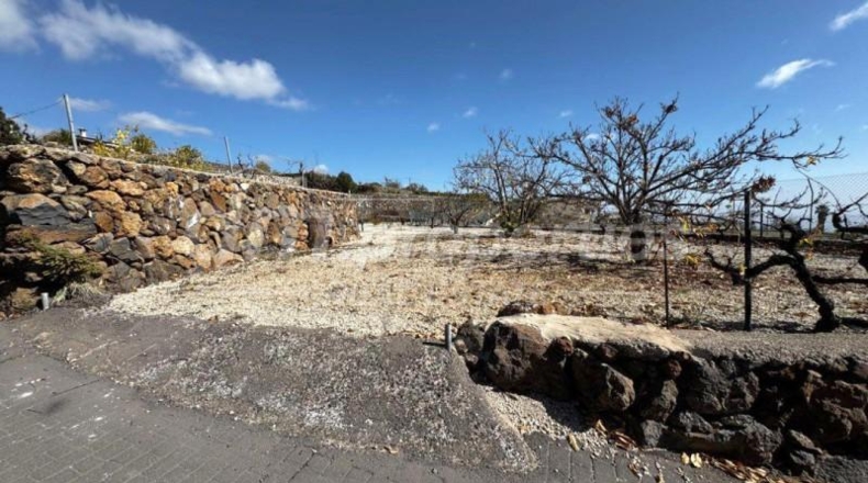 Santa Creu de Tenerife - Granadilla de Abona - 5145m2