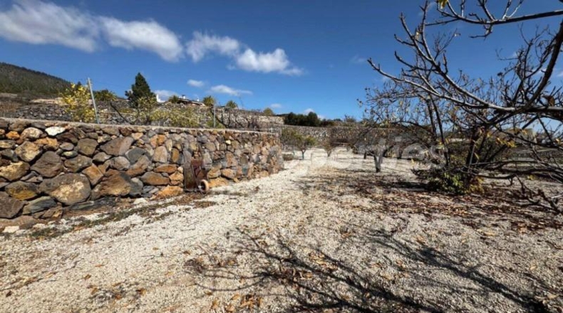 Santa Creu de Tenerife - Granadilla de Abona - 5145m2