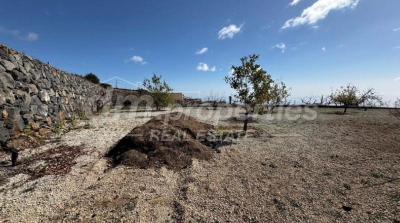 Santa Creu de Tenerife - Granadilla de Abona - 5145m2