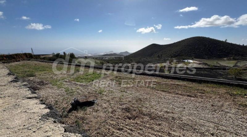 Santa Creu de Tenerife - Granadilla de Abona - 5145m2