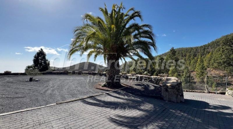 Santa Creu de Tenerife - Granadilla de Abona - 5145m2