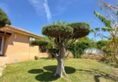 Detached villa with land for sale on España, Náquera, ref: TR404549 photo