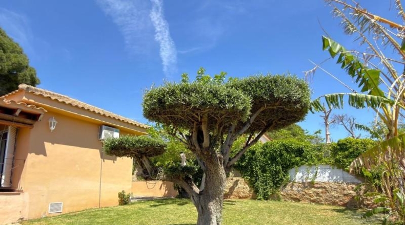 València - Náquera - 760m2