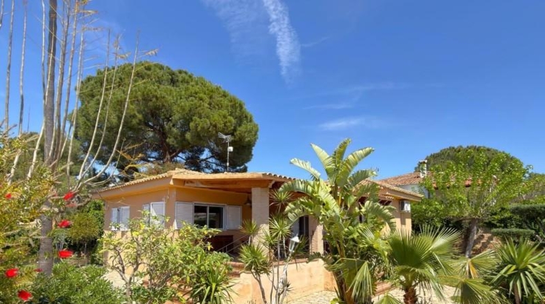 València - Náquera - 760m2