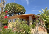 Detached villa with land for sale on España, Náquera, ref: TR404549 photo