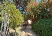Detached villa with land for sale on España, Náquera, ref: TR404549 photo