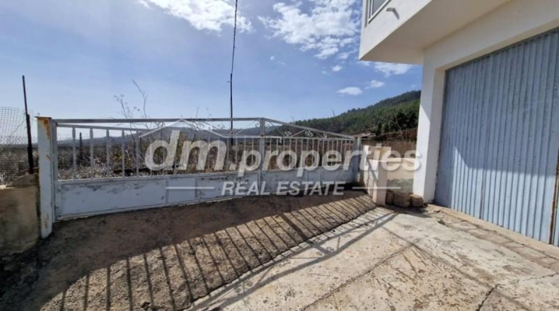 Santa Creu de Tenerife - Granadilla de Abona - 8270m2
