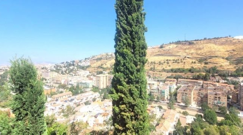 Granada - Granada - 183m2