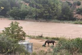 el Vendrell 250&nbsp;m²
