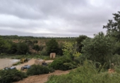 Xalet independent amb terreny en venda a la España, el Vendrell, ref.: TR219163 foto