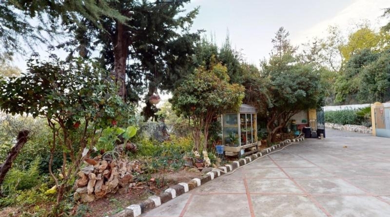Córdoba - Córdoba - 3000m2