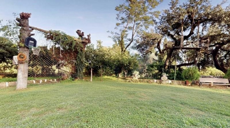 Córdoba - Córdoba - 3000m2