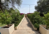 Casa de camp amb terreny en venda a la España, l'Eliana, ref.: TR180386 foto