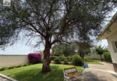 Casa de camp amb terreny en venda a la España, l'Eliana, ref.: TR180386 foto